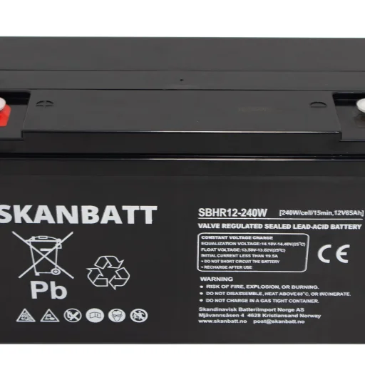 SKANBATT High Rate AGM Batteri 12V 65AH (350x167x182mm) M6