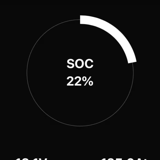 SKANBATT Bluetooth Lithium Batteri 12V 50AH 50A BMS