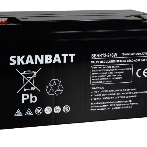 SKANBATT High Rate AGM Batteri 12V 65AH (350x167x182mm) M6
