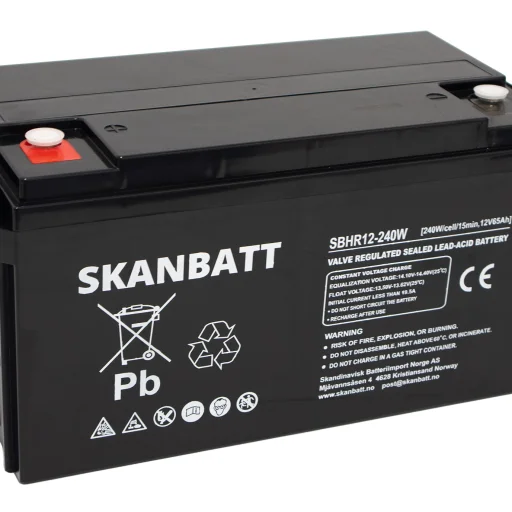 SKANBATT High Rate AGM Batteri 12V 65AH (350x167x182mm) M6