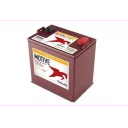 trojan-agm-deep-cycle-traksjonsbatteri-8v-158ah-262x179x273mm-venstre