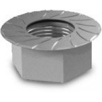 hexagon-flange-nut-with-serration-m10-6923210